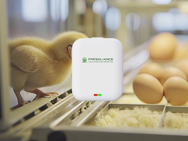 Price of real-time temperature data logger for chicken farm incubator